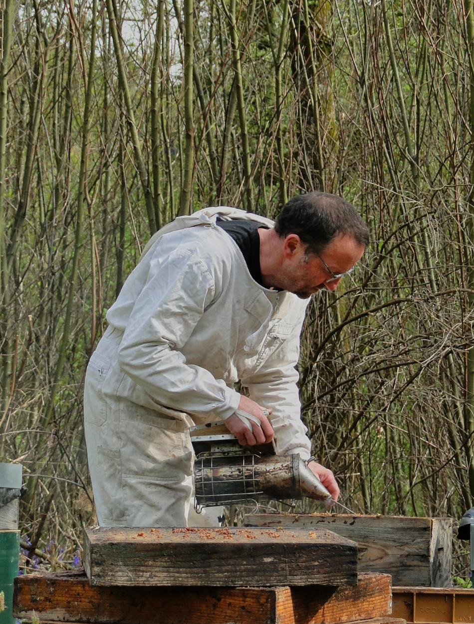 Scène captivante où l'apiculteur évolue au milieu de ses ruches, orchestrant avec maestria les mouvements de ses abeilles dans un équilibre parfait entre homme et nature. Découvrez notre boutique.