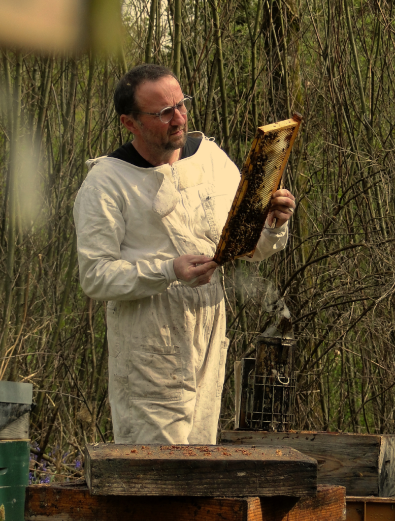 Image illustrant Vincent, un apiculteur passionné, inspectant minutieusement les cadres de ses ruches pour surveiller l'avancement de la récolte de miel. Découvrez notre boutique et notre histoire.