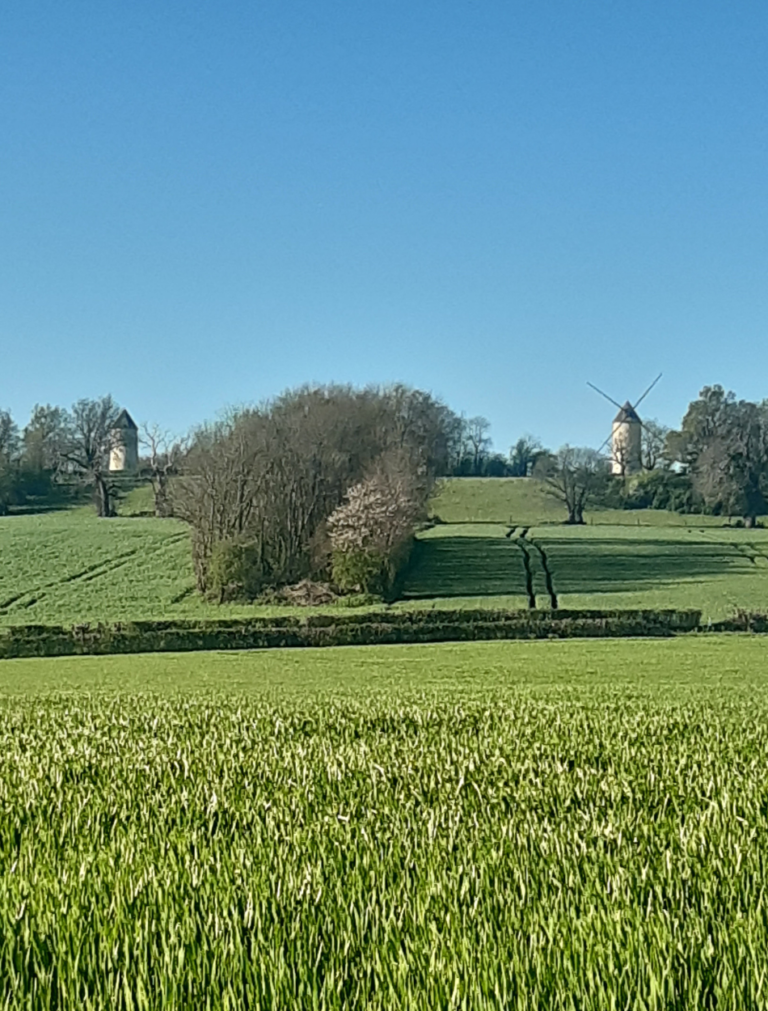 Image captivante du moulin de la colline aux moulins, situé dans un cadre pittoresque près de Mouilleron en Pareds, offrant une vision idyllique de la campagne printanière.