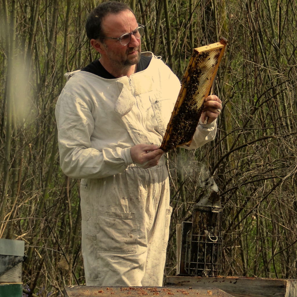 Image illustrant Vincent, un apiculteur passionné, inspectant minutieusement les cadres de ses ruches pour surveiller l'avancement de la récolte de miel. Découvrez notre boutique et notre histoire.